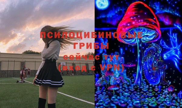 герыч Переславль-Залесский