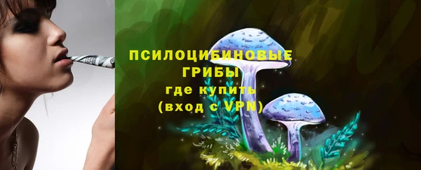 мяу мяу кристалл Алексин