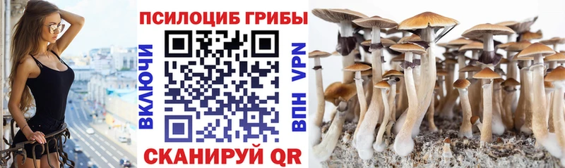 Псилоцибиновые грибы мухоморы Туринск